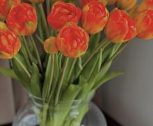 Тюльпаны пионовидные оранжевые