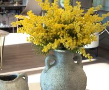 Мимоза букет
